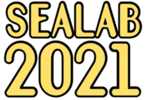 Sealab 2021 Complete (4 DVDs Box Set)
